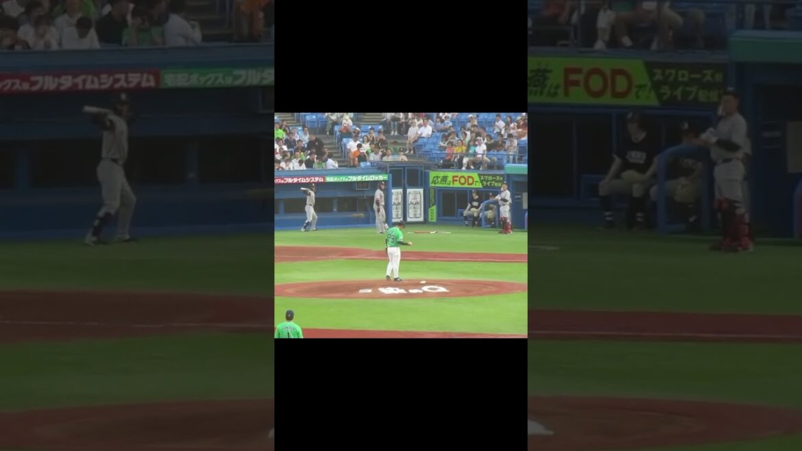 小川泰弘の投球練習にタイミングを合わせる丸佳浩や吉川尚輝（ヤクルトスワローズ対 読売ジャイアンツ 2024年7月5日）