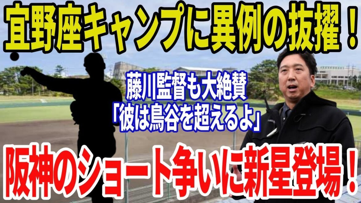 【藤川監督絶賛】期待の若手ショートを1軍キャンプに大抜擢！その理由と期待とは？