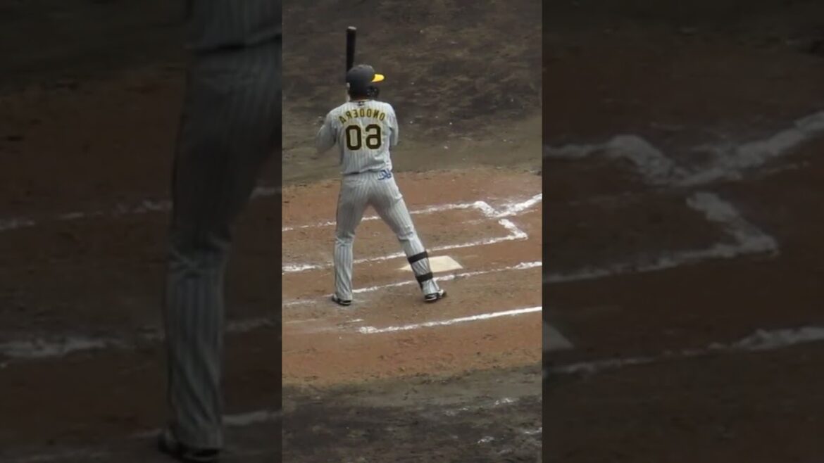 左右反転 小野寺暖が左打者だったら（巨人阪神オープン戦2024年2月23日）