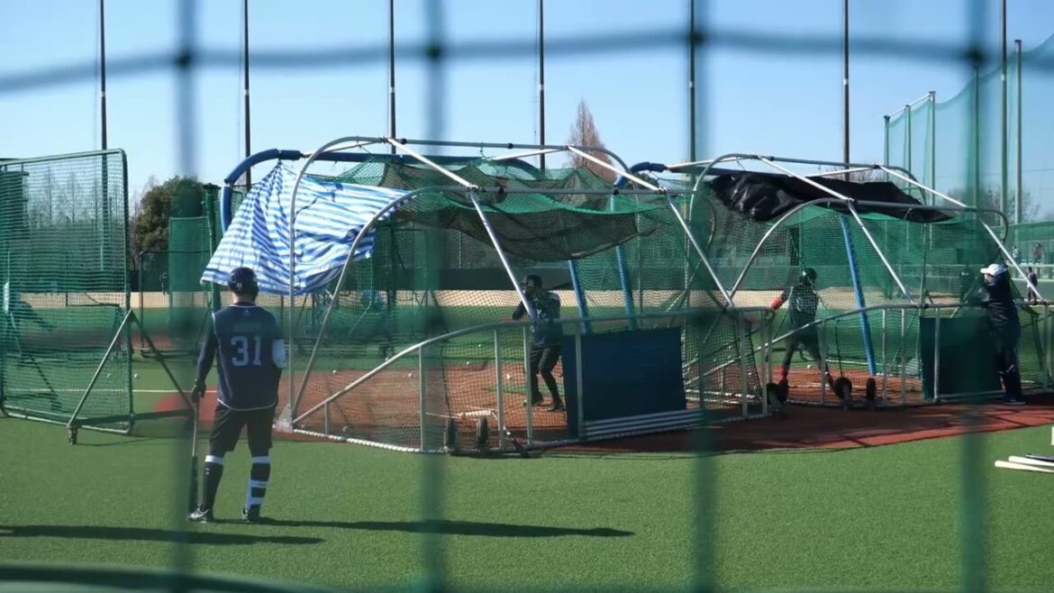 東京ヤクルトスワローズ 新人合同自主トレ フリーバッティング 2025.01.22
