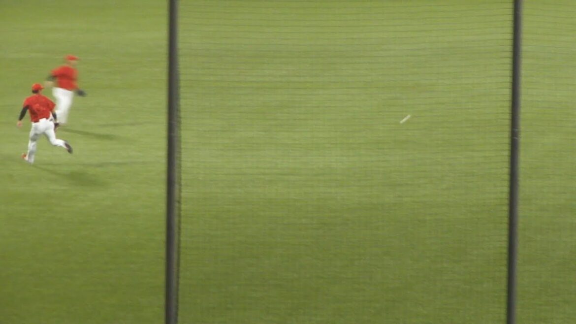 ヤクルト 中村悠平 タイムリーヒット　ヤクルト vs 広島　2024年10月3日(木) 神宮球場