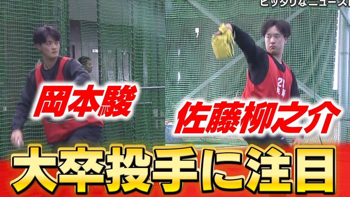 【素材型と即戦力】佐藤＆岡本の大卒ルーキー投手コンビに注目
