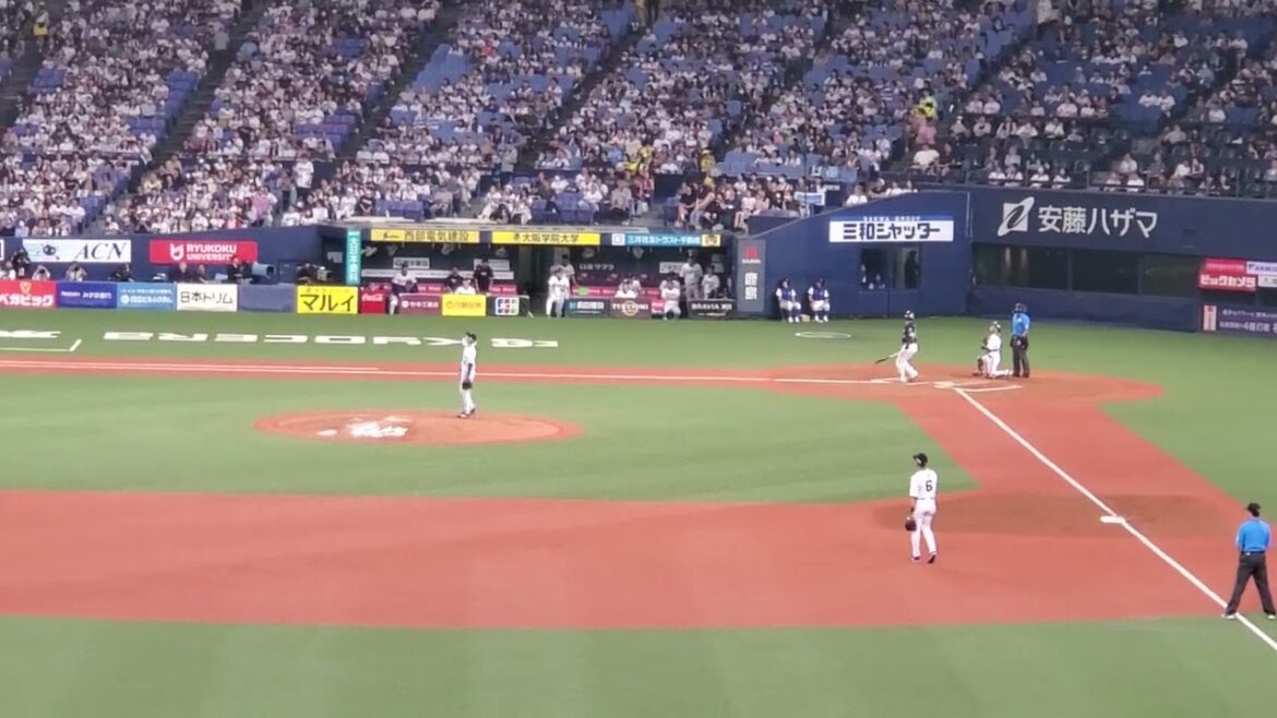 20240616　打者はﾌﾞﾚｲｸしたﾍﾞﾃﾗﾝ松本直樹！【捕手汎用テーマ】　7回表　東京ﾔｸﾙﾄｽﾜﾛｰｽﾞ　汎用応援歌@京ｾﾗﾄﾞｰﾑ大阪･ﾚﾌﾄ外野下段 日本生命ｾ･ﾊﾟ交流戦