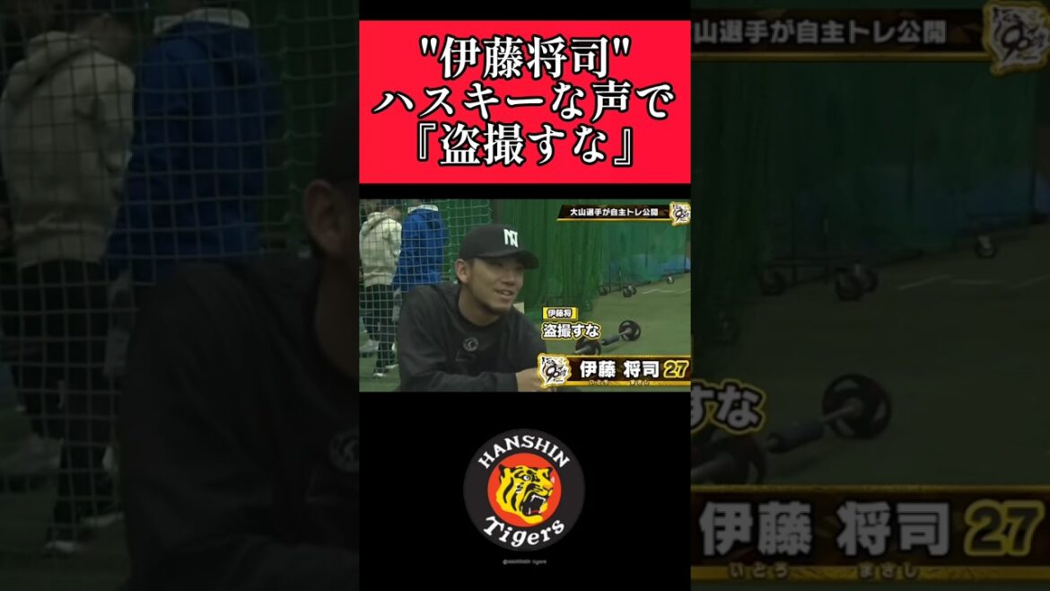 【阪神】"伊藤将司"ハスキーボイスを披露！ #阪神 #阪神タイガース #伊藤将司  #shorts
