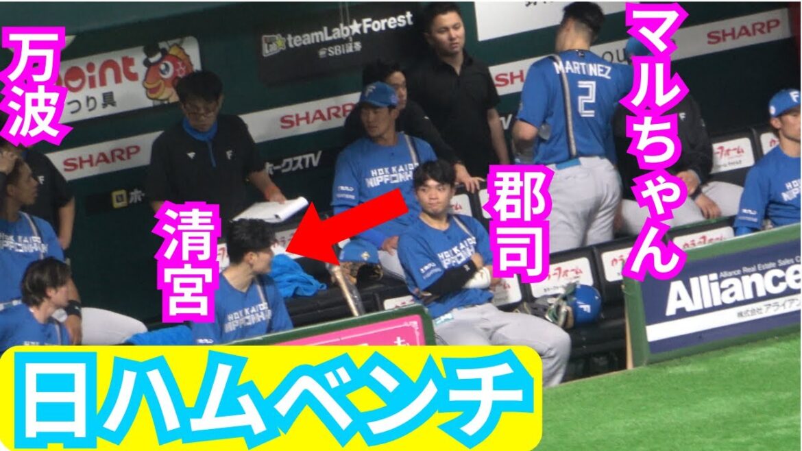 郡司裕也が清宮幸太郎をチラ見！マルティネスの沈静化を見守るベンチ！万波中正のスタートダッシュ【北海道日本ハムファイターズ】