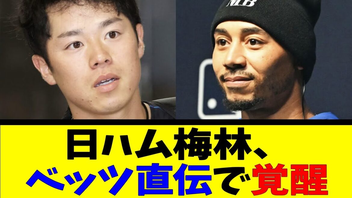 日ハム梅林、ベッツ直伝で覚醒【反応集】【野球反応集】【なんJ なんG野球反応】【2ch 5ch】 日ハム梅林、ベッツ直伝で覚醒【反応集】【野球反応集】【なんJ なんG野球反応】【2ch 5ch】