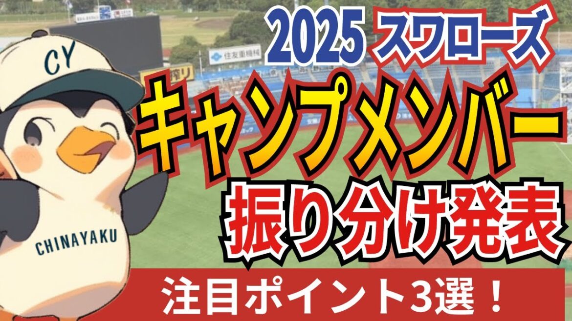 【キャンプ情報】2025年スワローズ春季キャンプ！1軍・2軍メンバー振り分けを徹底解説！