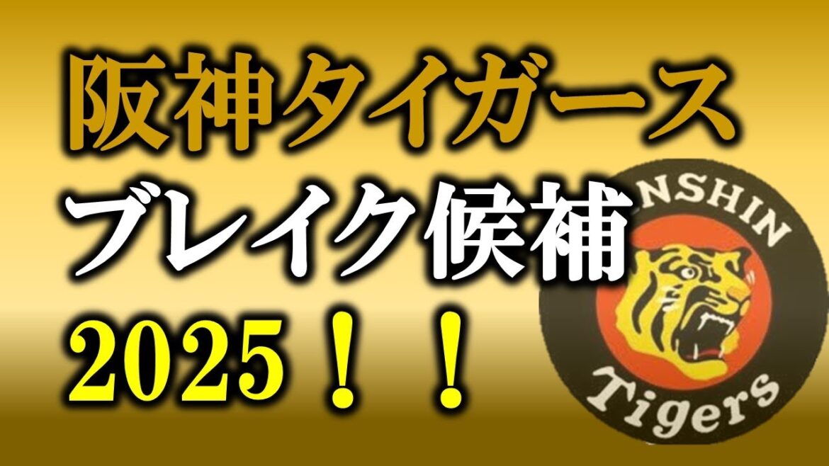 阪神タイガース2025ブレイク候補