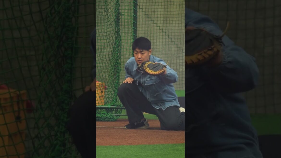 【巨人】捕手、岡本和真選手のフレーミング　#shorts #baseball #sports #ジャイアンツ #巨人 #プロ野球