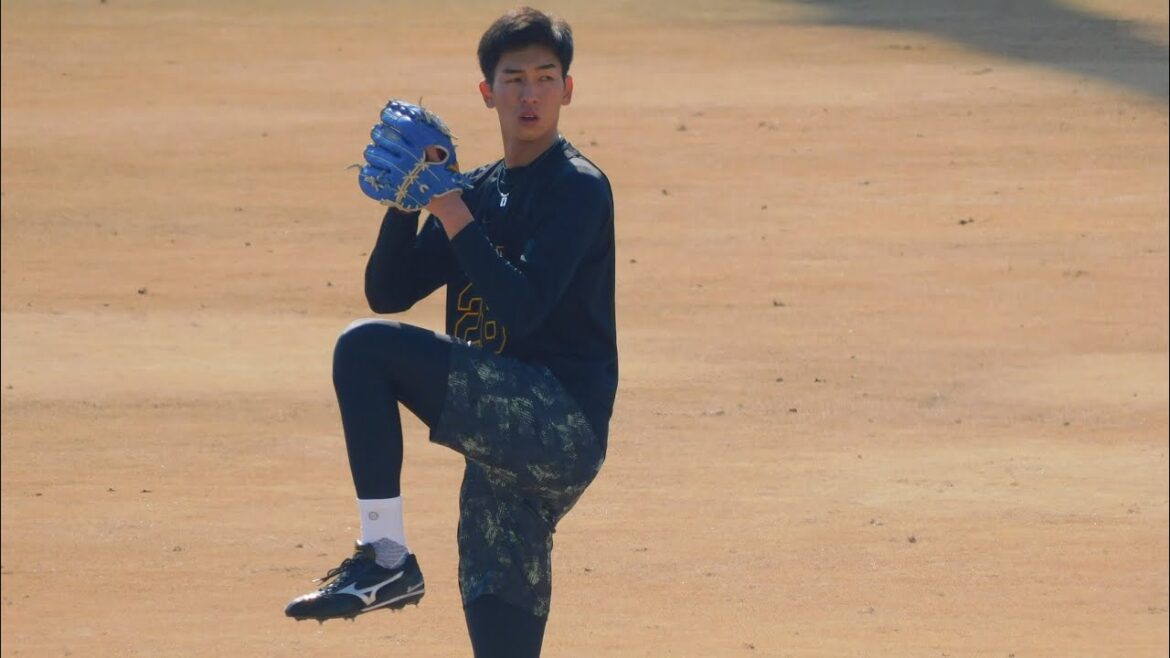 【未来のエース候補】今朝丸裕喜 1/22 新人合同自主トレ キャッチボール 【未来のエース候補】今朝丸裕喜 1/22 新人合同自主トレ キャッチボール