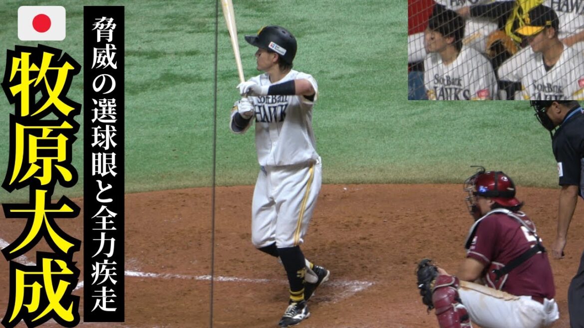牧原大成のバッティングフォーム観察！凡打でも全力疾走が中田翔との違い【プロ野球/侍ジャパン/福岡ソフトバンクホークス】秋山幸二､松中信彦､松田宣浩が継承してきた伝統自主トレを経て2025大飛躍へ