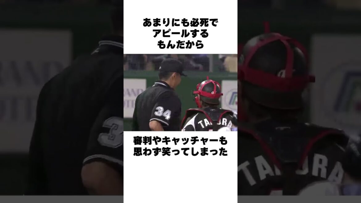 「デッドボールで大爆笑」杉谷拳士についての雑学#野球 #野球雑学 #日本ハム