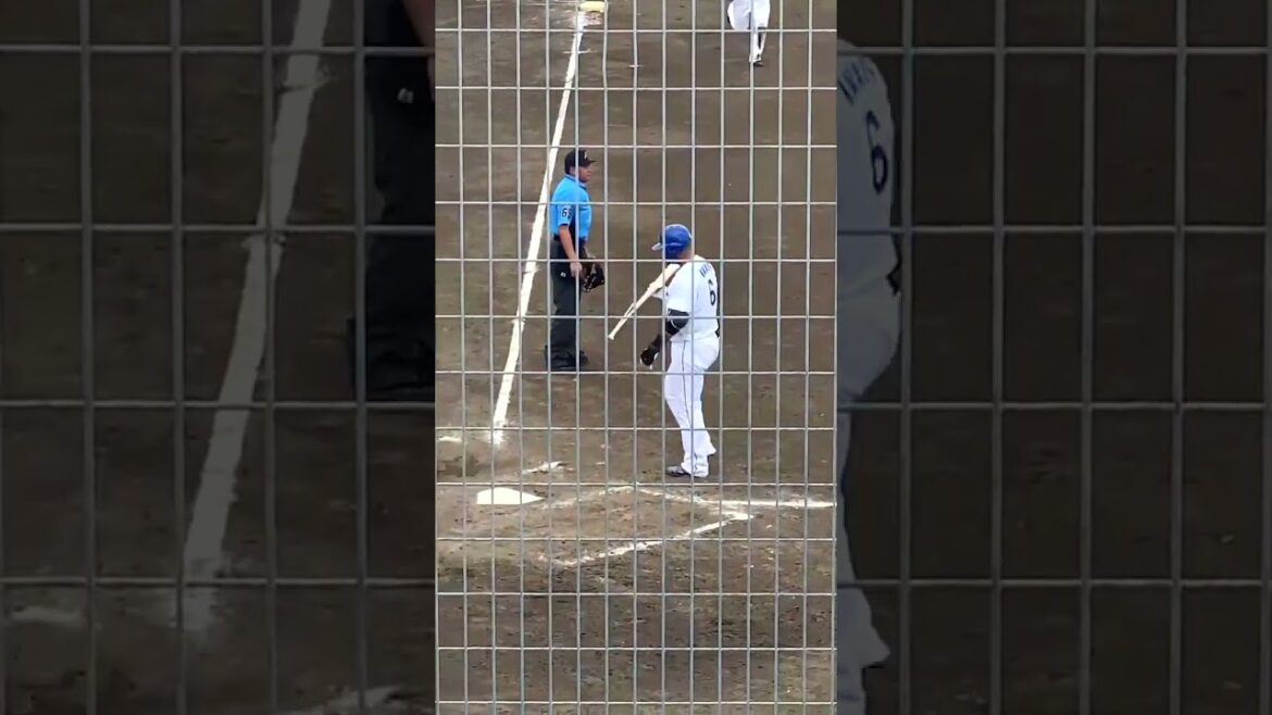 【折れかけのバットを折る中田翔】  #中田翔 #中日ドラゴンズ