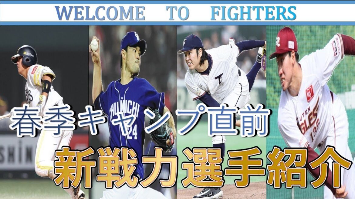 【春季キャンプ2025】日本ハム春季キャンプ直前！新戦力選手紹介！台湾最強投手に現役ドラフトまで【日本ハム】