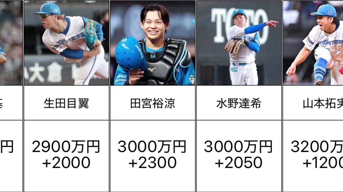 【躍進】北海道日本ハムファイターズ 2024主力選手の契約更改まとめ