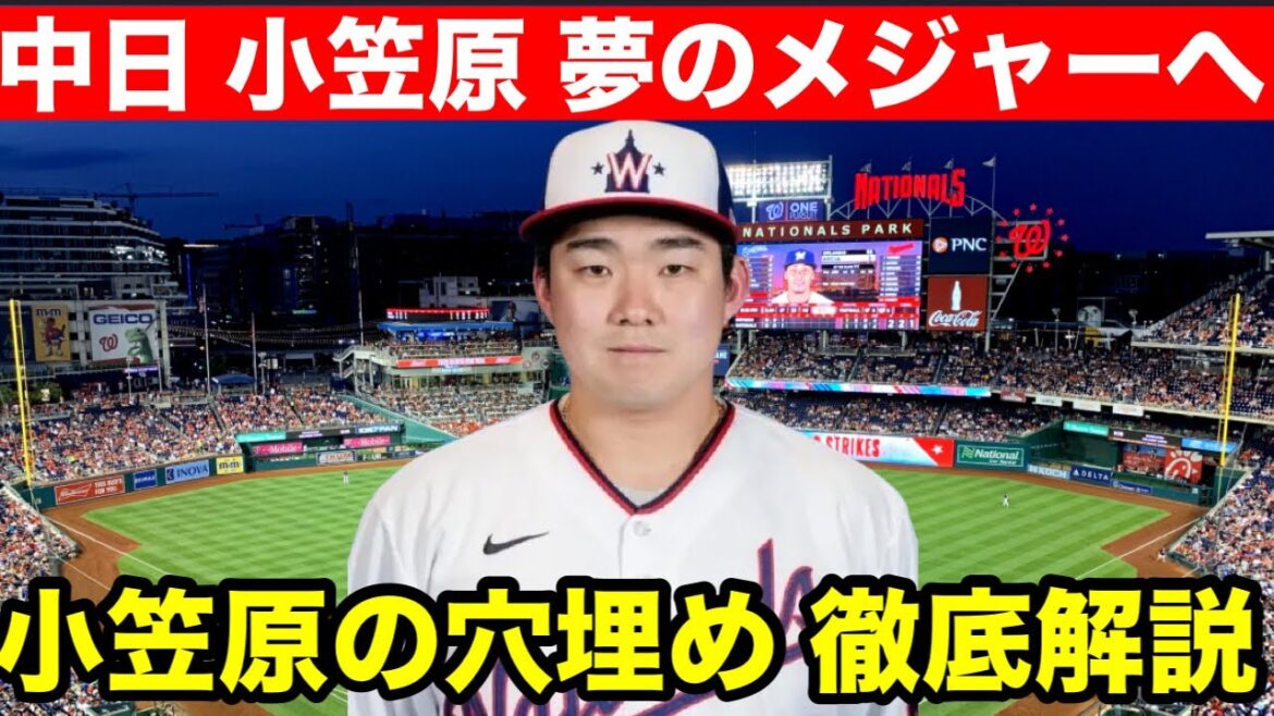 【穴埋め】中日ドラゴンズ 小笠原投手がメジャーへ!小笠原投手の穴埋めをどうするのか徹底解説! 【穴埋め】中日ドラゴンズ 小笠原投手がメジャーへ!小笠原投手の穴埋めをどうするのか徹底解説!