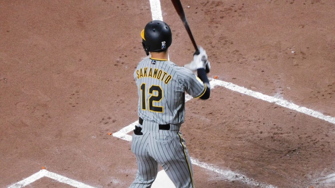 【大山申告敬遠に燃えた】坂本誠志郎 3点差をひっくり返す勝ち越しタイムリー 本日マルチ安打