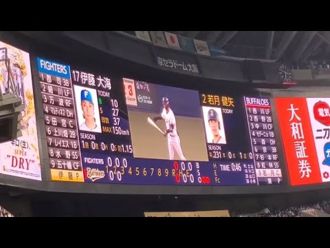 20240412 若月健矢 通常の登場曲【「DAN DAN 心魅かれてく」/ZARD】 3回ウラ オリックス・バファローズ@京セラドーム大阪・レフト外野下段 20240412 若月健矢 通常の登場曲【「DAN DAN 心魅かれてく」/ZARD】 3回ウラ オリックス・バファローズ@京セラドーム大阪・レフト外野下段