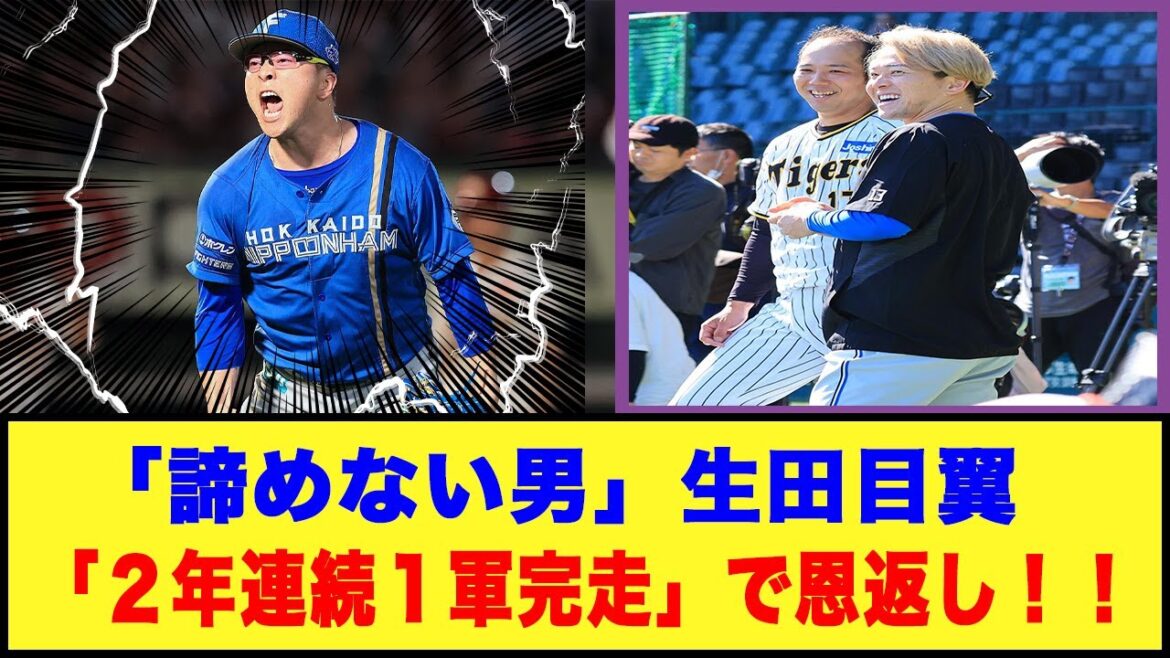 「諦めない男」生田目翼「２年連続１軍完走」で恩返し！！#日本ハムファイターズ #生田目翼 #青柳晃洋