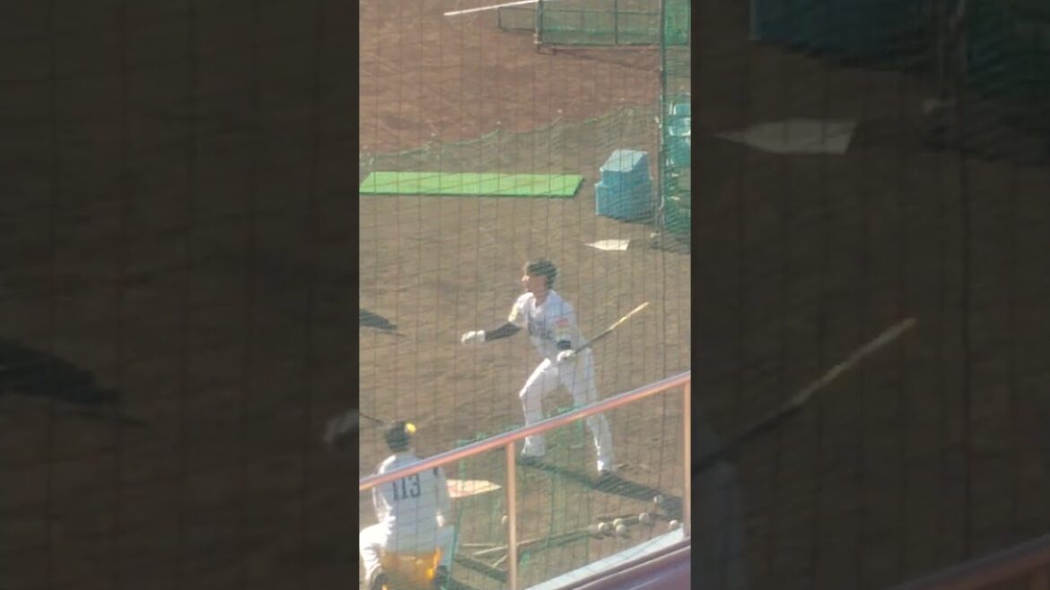 正木智也選手（福岡ソフトバンクホークス）、連続トスバッティングでのシャープなスイング！