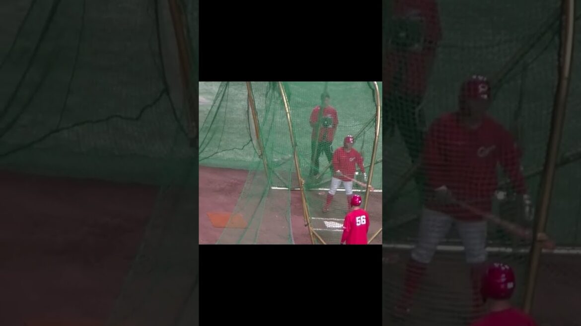 広島 羽月隆太郎のフリーバッティング【 読売ジャイアンツ対 広島カープ2024年4月13日】