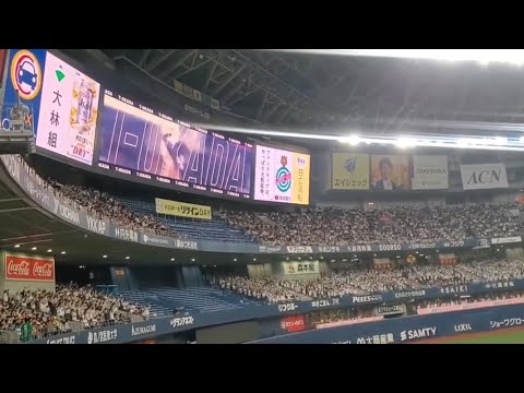 20240331 引退!代打 T-岡田 チャンス登場曲【「カーニバル」/ケツメイシ】 8回ウラ オリックス・バファローズ@京セラドーム大阪・レフト外野下段 20240331 引退!代打 T-岡田 チャンス登場曲【「カーニバル」/ケツメイシ】 8回ウラ オリックス・バファローズ@京セラドーム大阪・レフト外野下段