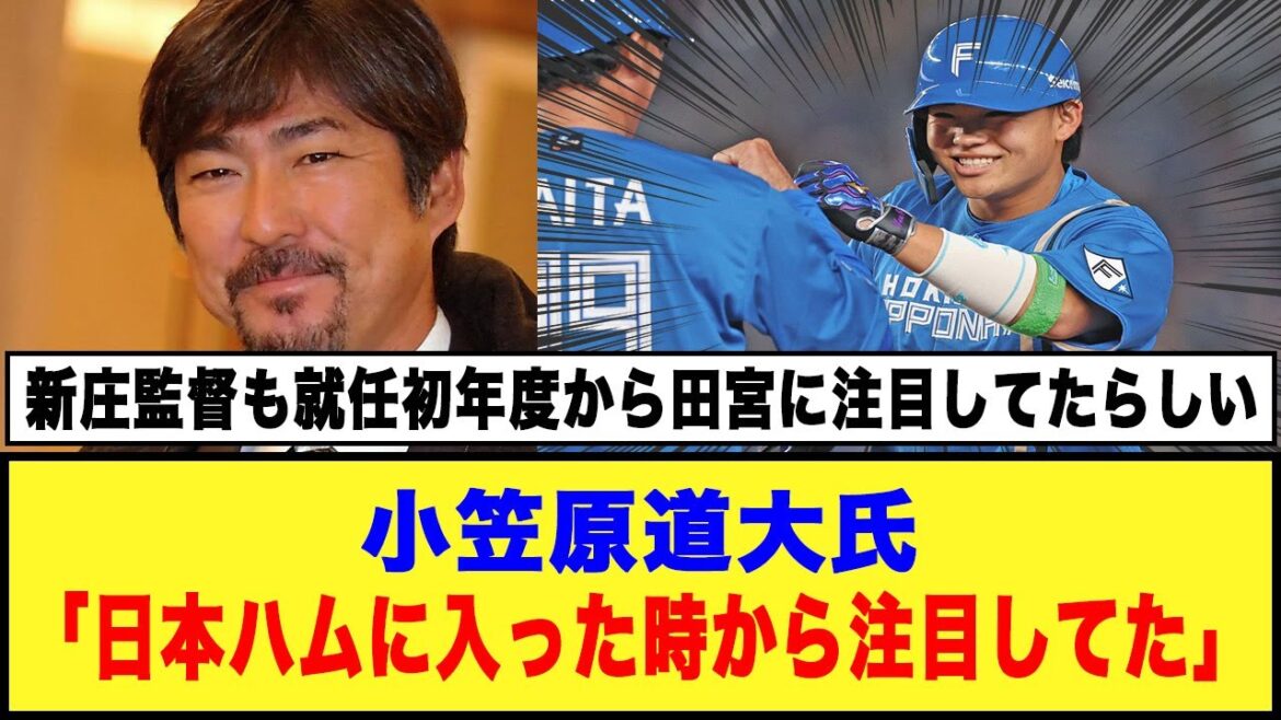 小笠原道大氏「日本ハムに入った時から注目してた」#日本ハムファイターズ #田宮裕涼 #小笠原道大