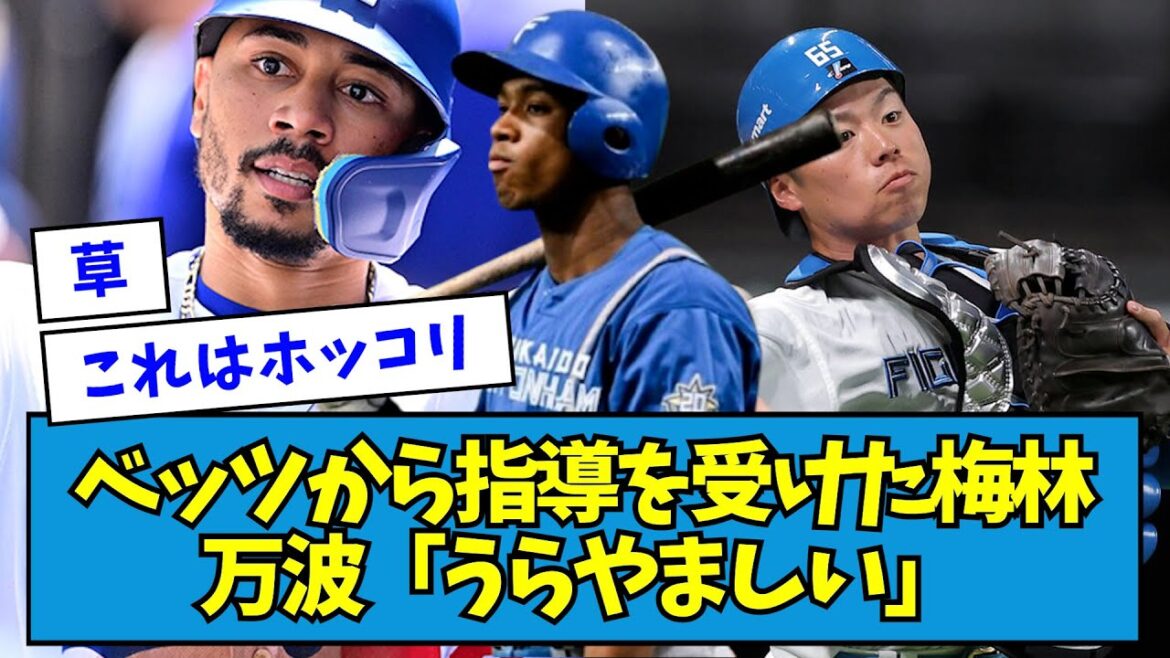 【正直w】ベッツから指導を受けた日ハム・梅林について万波「うらやましい」【なんJ反応】
