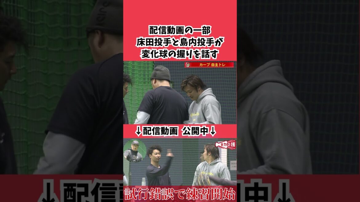 【自主トレ動画の１コマ】島内と変化球の握りに関して話をするシーン🔥 #カープ #野球 #広島東洋カープ #床田寛樹 #島内颯太郎
