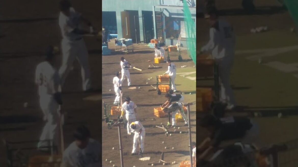 バットを振って振って #ホークス秋季キャンプ #牧原巧汰 #野村大樹