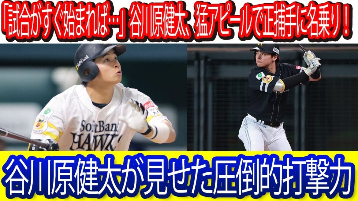 【注目】「試合がすぐ始まれば…」谷川原健太、猛アピールで正捕手に名乗り！谷川原健太が見せた圧倒的打撃力 #ソフトバンク #谷川原健太 #福岡ソフトバンクホークス #ソフトバンクホークス