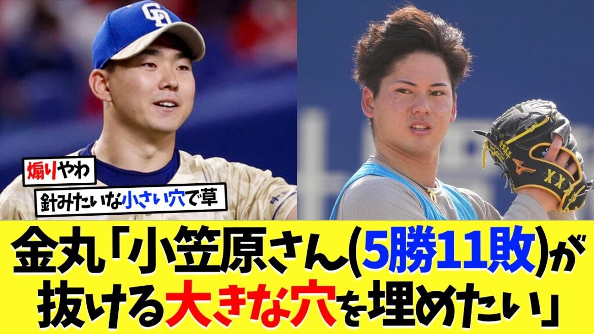 中日ドラ1･金丸「小笠原さん（5勝11敗）が抜ける大きな穴を僕が少しでも埋めたい」【プロ野球】【野球】【なんｊ】【なんj】【5ch】【2ch】【甲子園】【MLB】