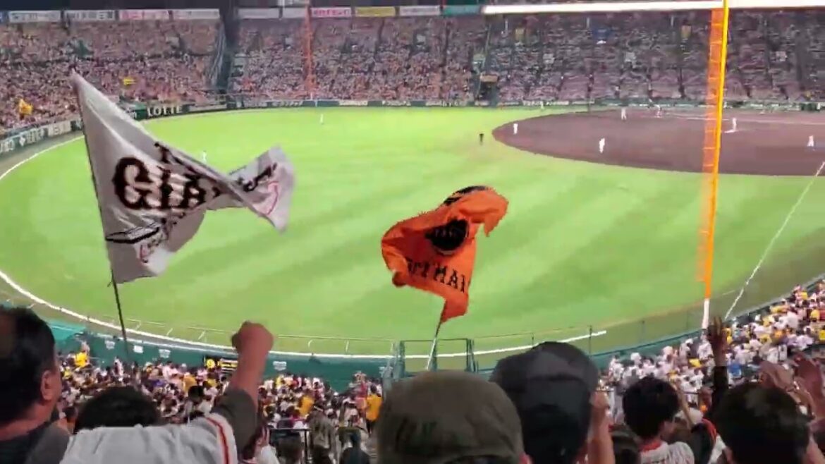 20240922　読売ｼﾞｬｲｱﾝﾂ(巨人)　4回表　攻撃開始@阪神甲子園球場･ﾚﾌﾄ外野
