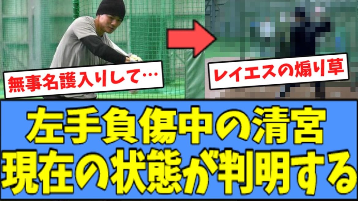 【期待】左手負傷中の清宮、現在の状態が判明する・・・