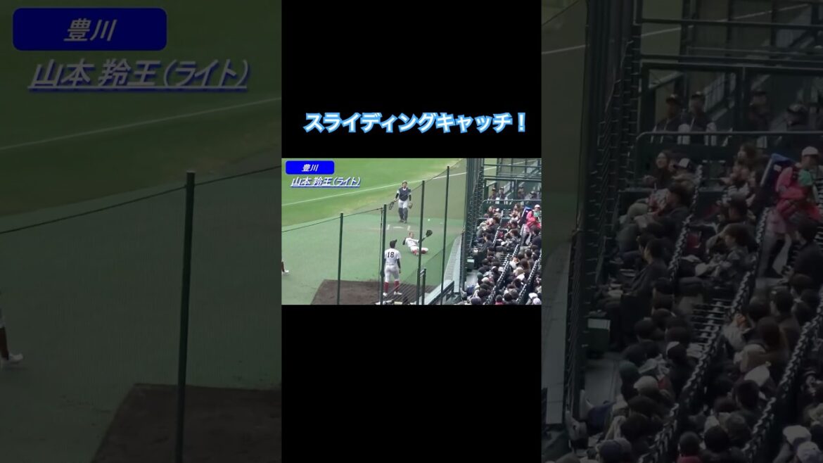 フェンス際のスライディングキャッチ! #高校野球 #甲子園 #野球 #koshien #高校野球好プレー #好プレー #shorts フェンス際のスライディングキャッチ! #高校野球 #甲子園 #野球 #koshien #高校野球好プレー #好プレー #shorts