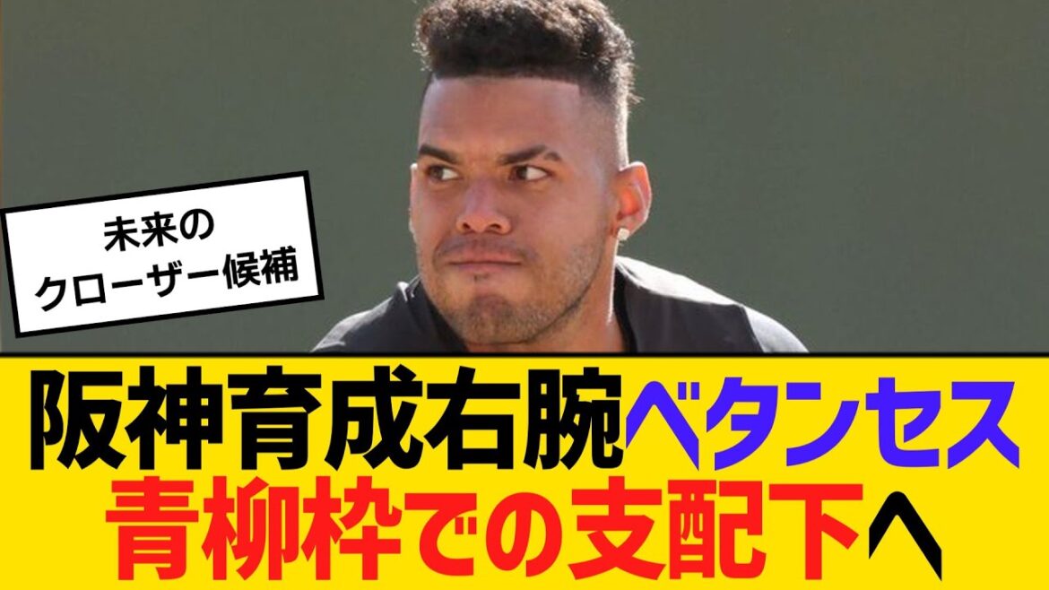 阪神育成右腕、ホセ・ベタンセス　青柳枠での支配下へ　【ネットの反応】【反応集】