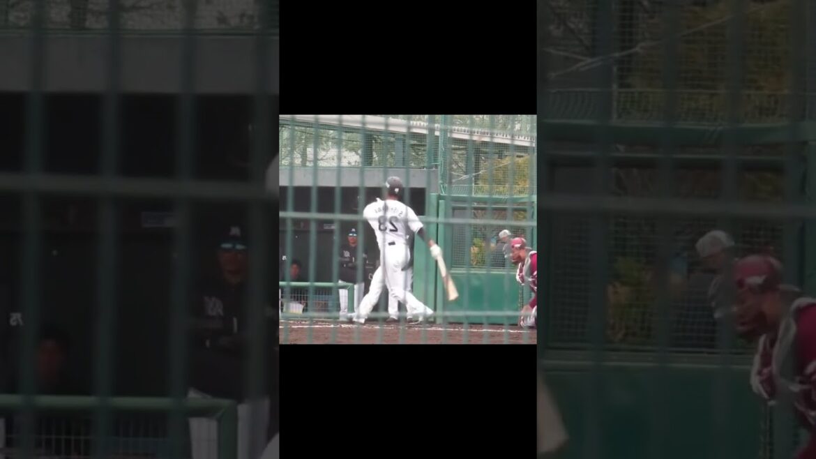 左右反転  石川慎吾が左打者だったら2024年3月5日 春季教育リーグロッテ浦和球場 千葉ロッテ対 楽天イーグルス