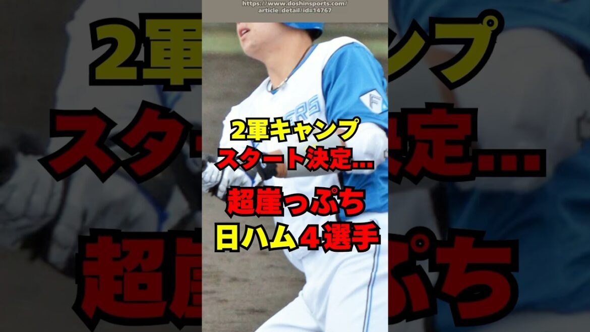 【日ハム】2軍キャンプスタートとなった超崖っぷち４人