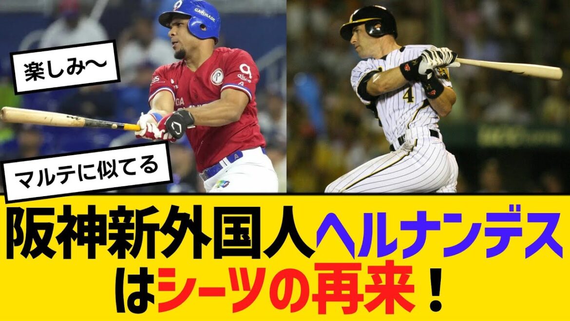 阪神・新外国人、ヘルナンデスはシーツの再来！　【ネットの反応】【反応集】