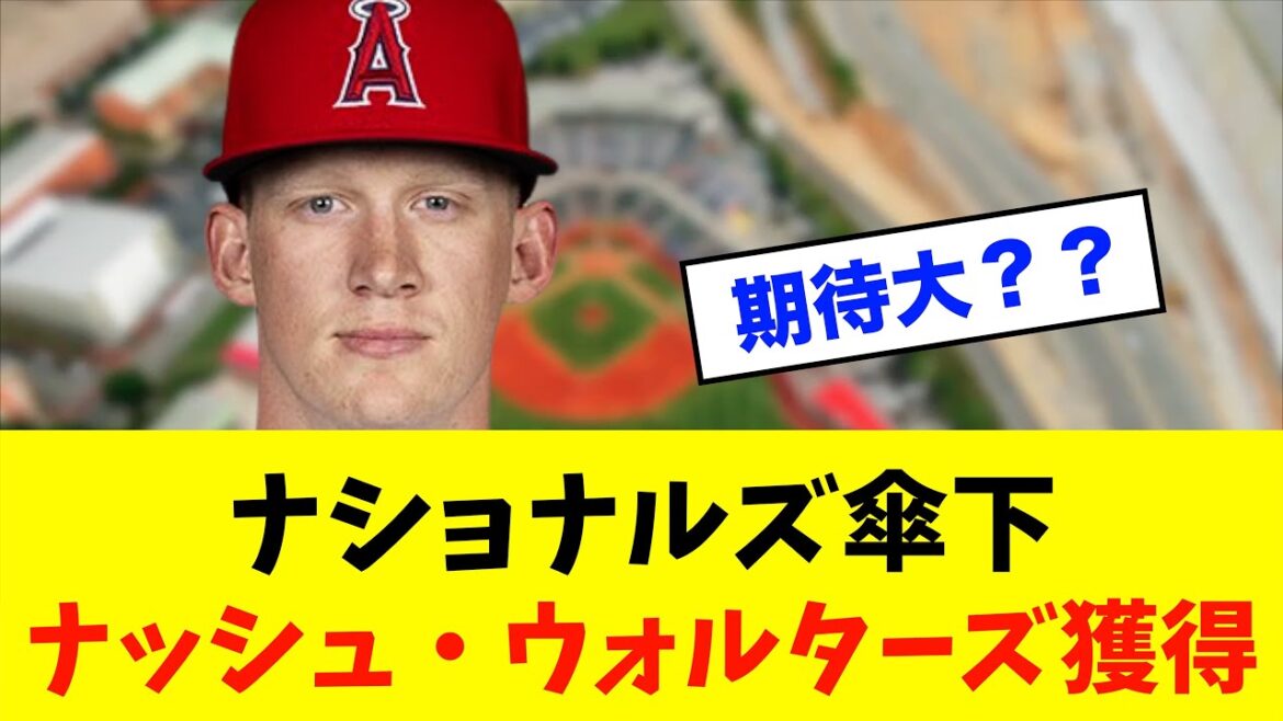 【期待】中日ドラゴンズ「ナッシュ・ウォルターズ」獲得⁈※中日ドラゴンズ専門スレ反応集