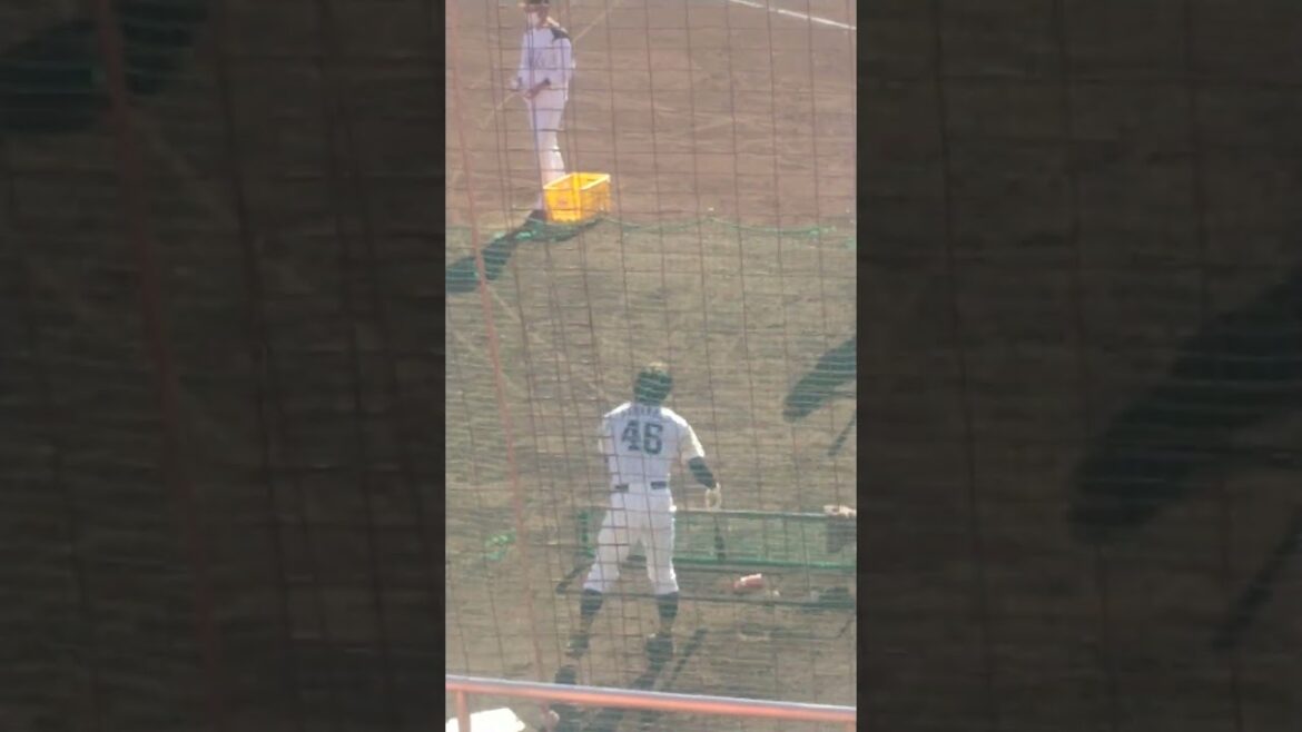 川原田純平選手（ホークス）の高速トスバッティング！