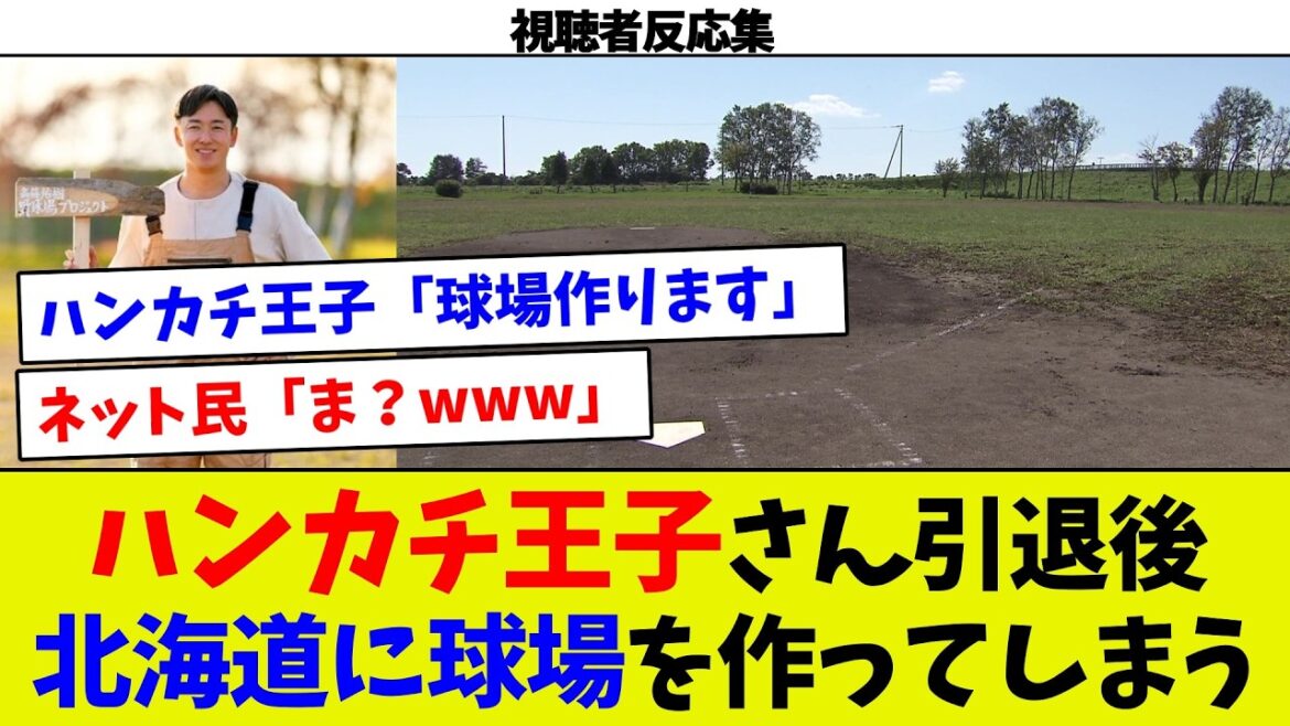 【天晴れぃ！】斎藤佑樹が新球場建設！！野球を広める思想に各所から脱帽の声。