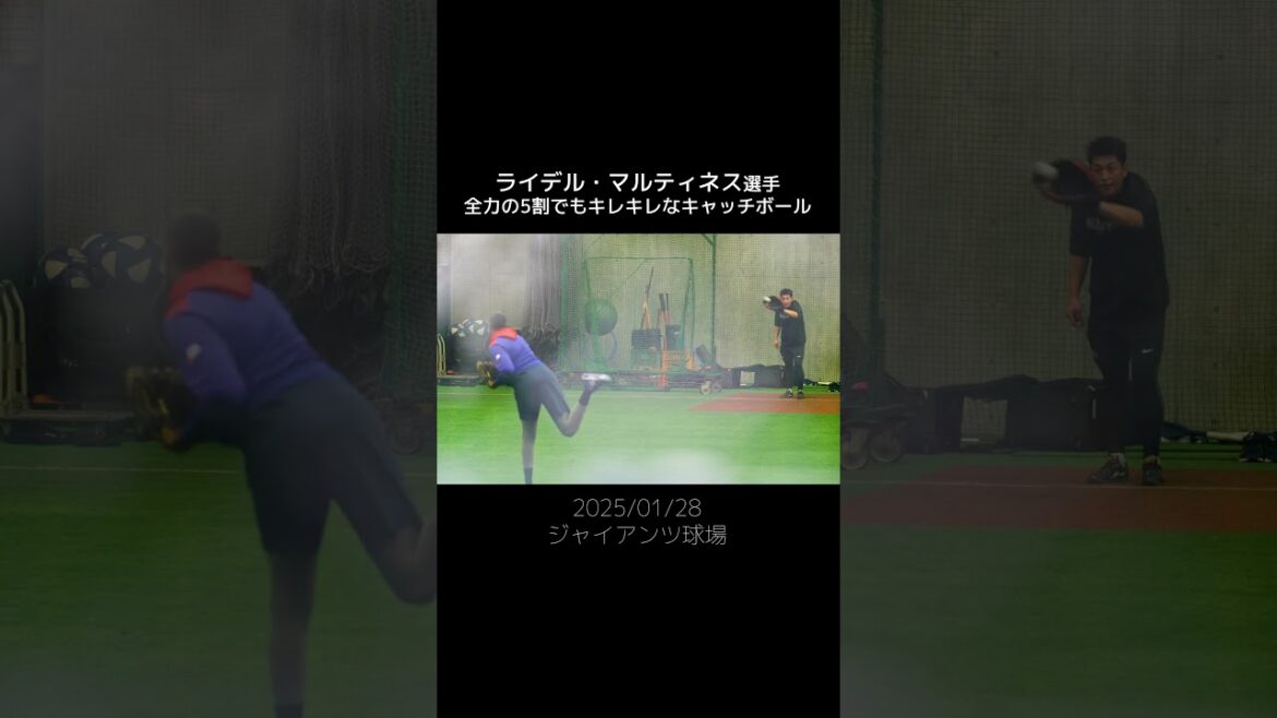 【巨人】ライデル・マルティネスのキレキレなキャッチボール #shorts #baseball #sports #ジャイアンツ #巨人 #プロ野球 【巨人】ライデル・マルティネスのキレキレなキャッチボール #shorts #baseball #sports #ジャイアンツ #巨人 #プロ野球