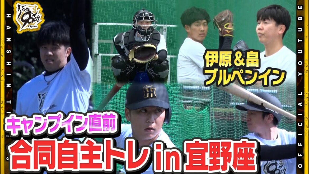 【合同自主トレ】キャンプイン直前！宜野座組が一足先に合同自主トレ開始！現役ドラフトで加入した#畠世周 選手＆ドラフト1位#伊原陵人 選手が早速ブルペンイン！順調な仕上がりをアピールしました！