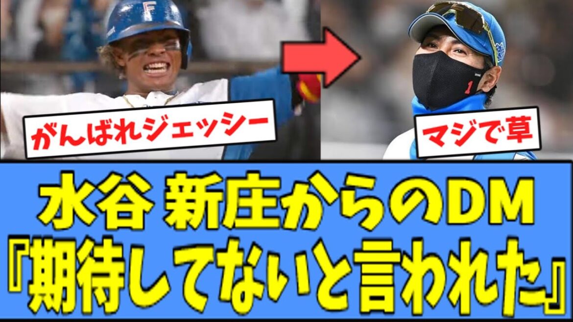 【草】日ハム 水谷、新庄監督から『期待してない』と言われてしまうｗｗｗ
