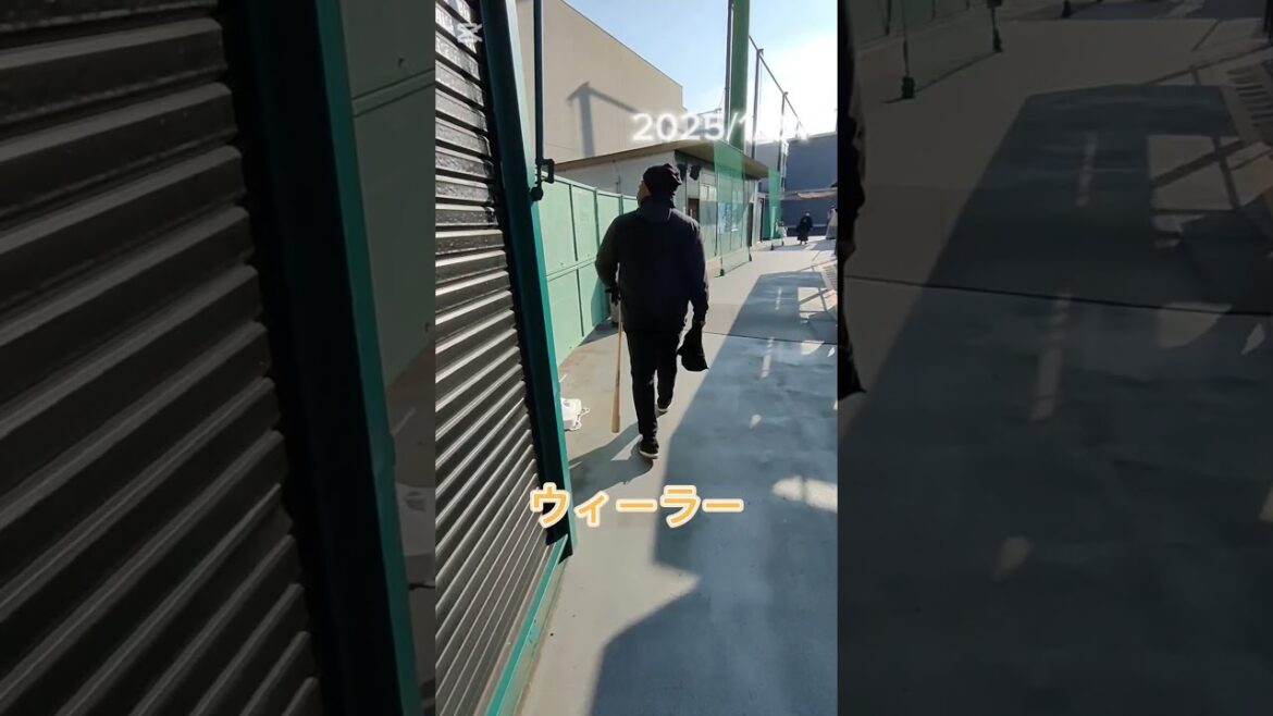 【GIANTS】 #ウィーラー #巨人 #ジャイアンツ #shorts #プロ野球