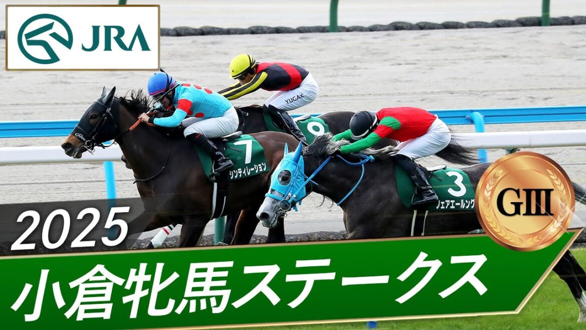 2025年 小倉牝馬ステークス(GⅢ) | フェアエールング・シンティレーション | JRA公式 2025年 小倉牝馬ステークス(GⅢ) | フェアエールング・シンティレーション | JRA公式