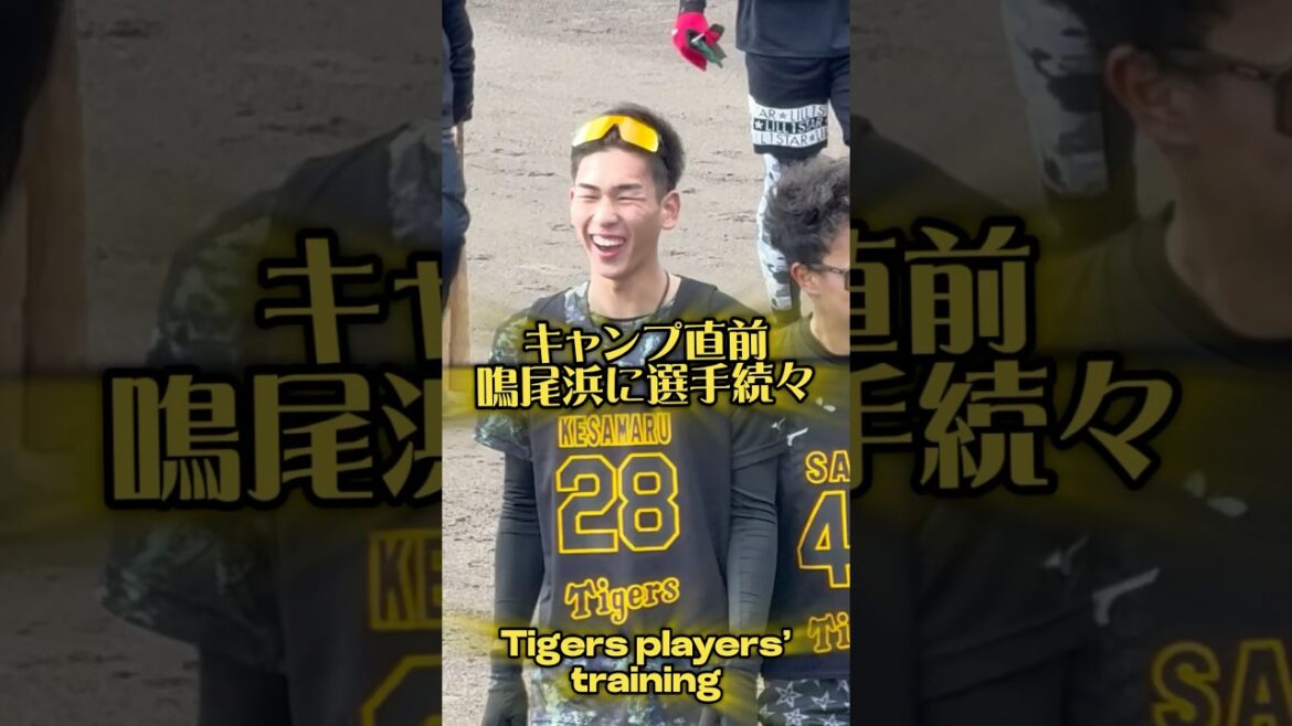 1/29新人合同自主トレ #鳴尾浜 での自主トレ公開も明日で見納め #阪神タイガース #阪神 #プロ野球 #今朝丸裕喜 #戸井零士 #岩貞祐太 #青柳晃洋 #phillies #百崎蒼生 #楠本泰史
