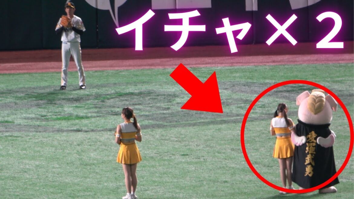大津亮介の遠投中に目の前でカップル如くイチャつくバリカタ君とチアガールWWW【プロ野球福岡ソフトバンクホークス試合前練習/キャッチボール/ハニーズ】球界最軽量投手