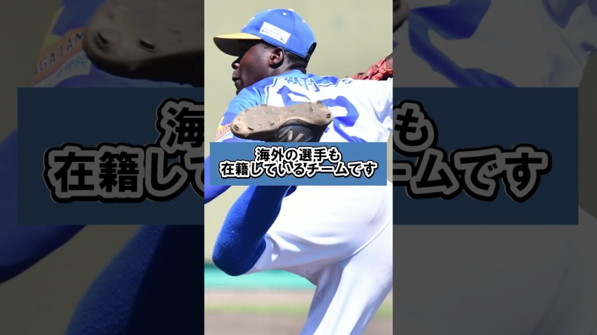 兵庫ブレイバーズ 山川和大監督より【リーグスポンサー募集のお知らせ】 #shorts